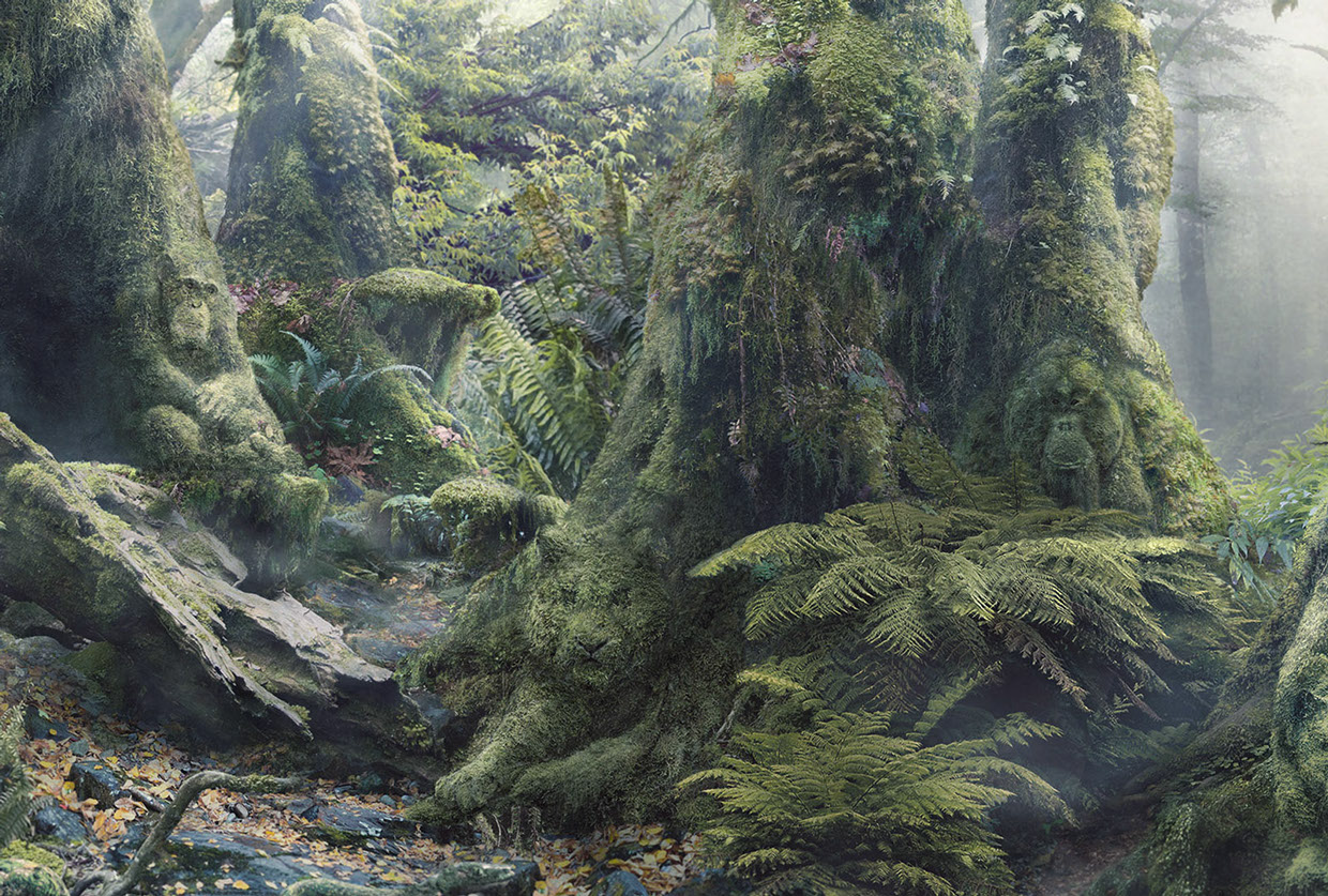 WWF - Botanimal Project by Anais Boileau